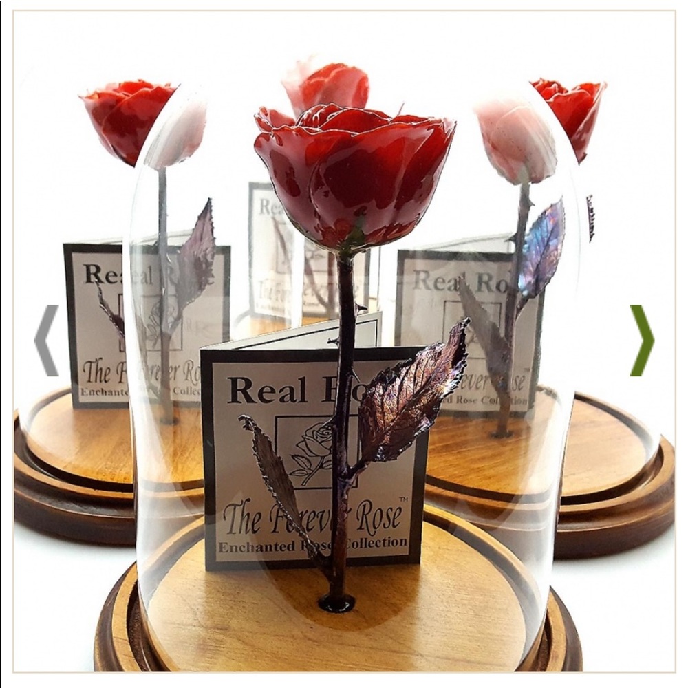 Official Enchanted Rose